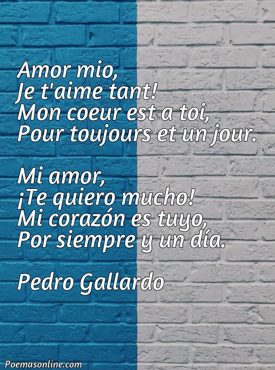 Hermoso Poema en Francés de Amor con Traducción, Poemas en Francés de Amor con Traducción
