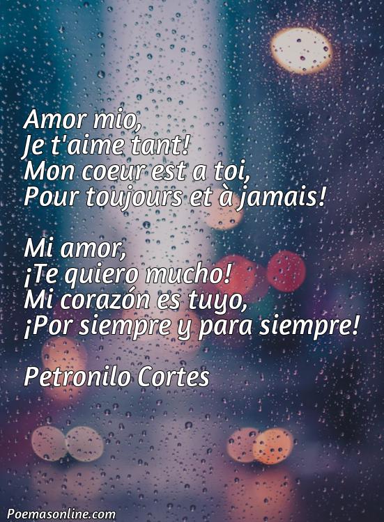 Mejor Poema en Francés de Amor con Traducción, 5 Mejores Poemas en Francés de Amor con Traducción