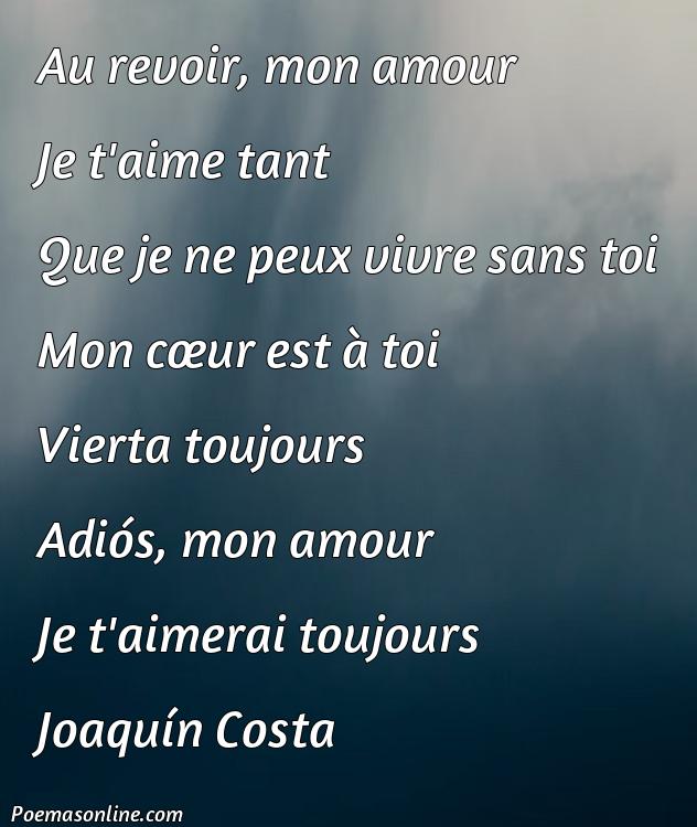 Inspirador Poema en Francés para Enamorar, Poemas en Francés para Enamorar