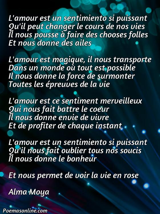 5 Poemas en Francés sobre Amor