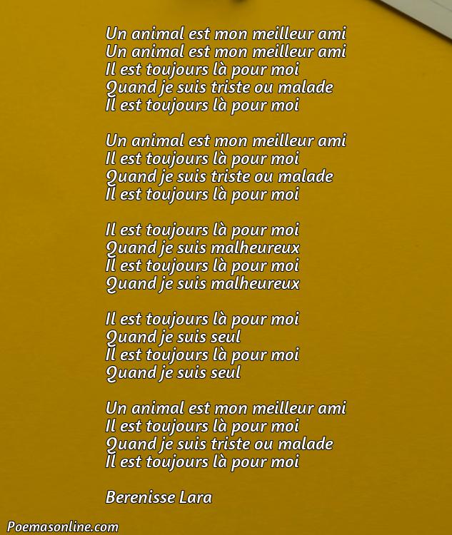 Reflexivo Poema en Francés sobre Animales, Poemas en Francés sobre Animales