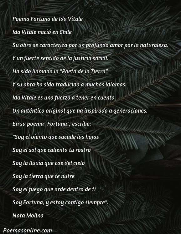 Excelente Poema Fortuna de Ida Vitale, 5 Mejores Poemas Fortuna de Ida Vitale