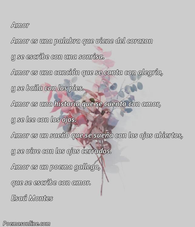 5 Mejores Poemas Gallego sobre Amor
