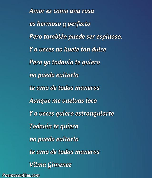 Hermoso Poema Graciosos de Amor para Dedicar, Cinco Mejores Poemas Graciosos de Amor para Dedicar