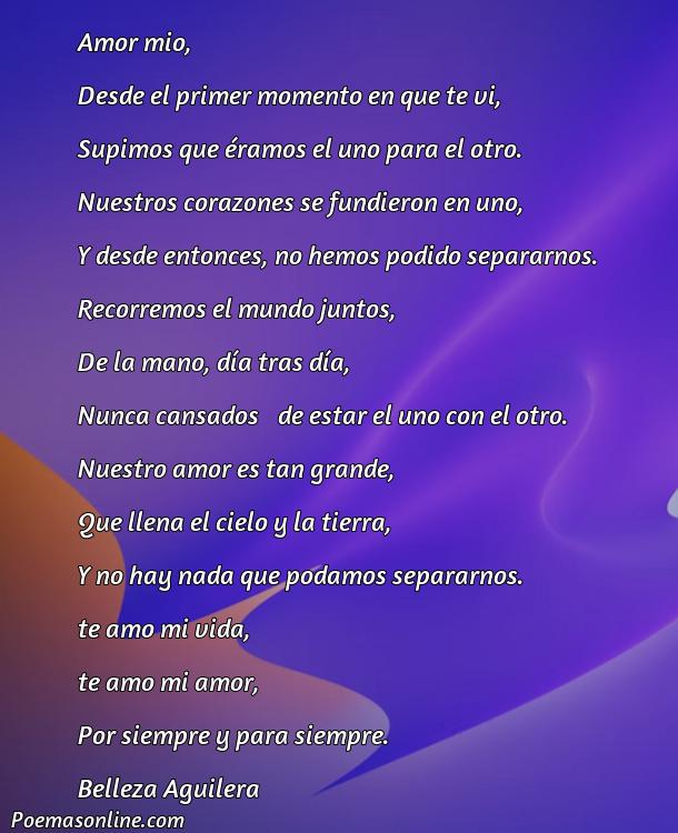 Reflexivo Poema Largo de Amor para mi Novia, Poemas Largo de Amor para mi Novia