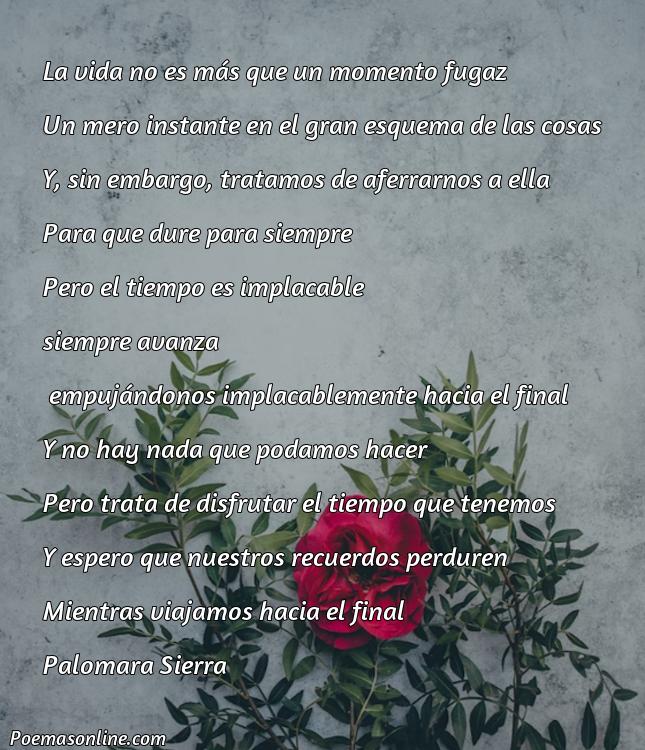Corto Poema Latino sobre la Fugacidad de la Vida, Cinco Mejores Poemas Latino sobre la Fugacidad de la Vida