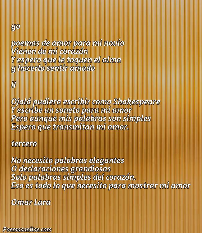 5 Mejores Poemas Lindos de Amor para mi Novio