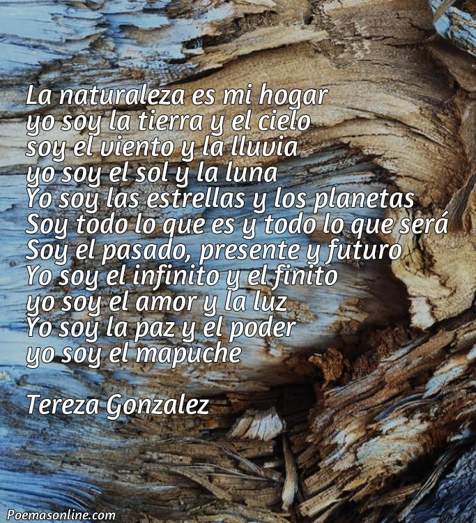 Hermoso Poema Mapuche sobre la Naturaleza, Cinco Mejores Poemas Mapuche sobre la Naturaleza
