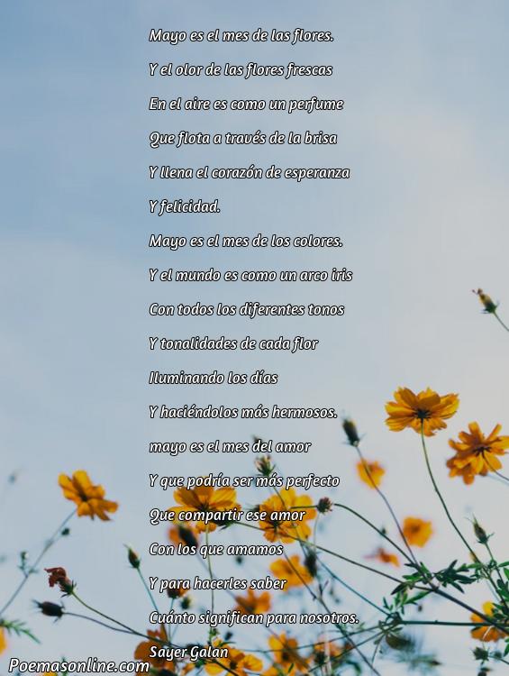 5 Poemas Mayo Mes de las Flores