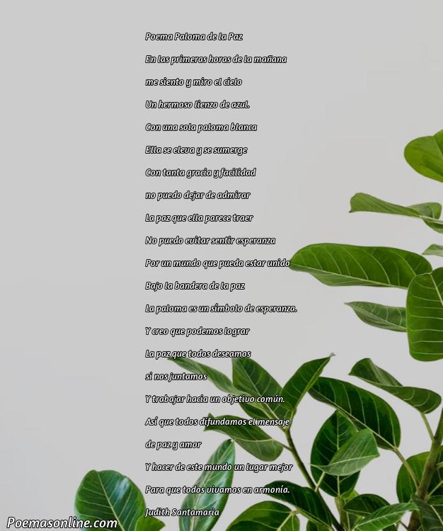 Mejor Poema Paloma de la Paz, 5 Poemas Paloma de la Paz