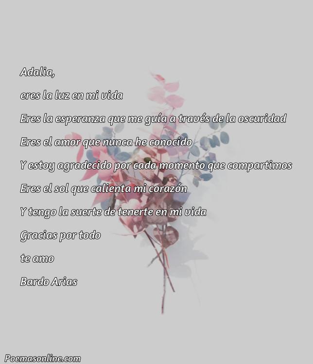 Cinco Poemas para Adalia