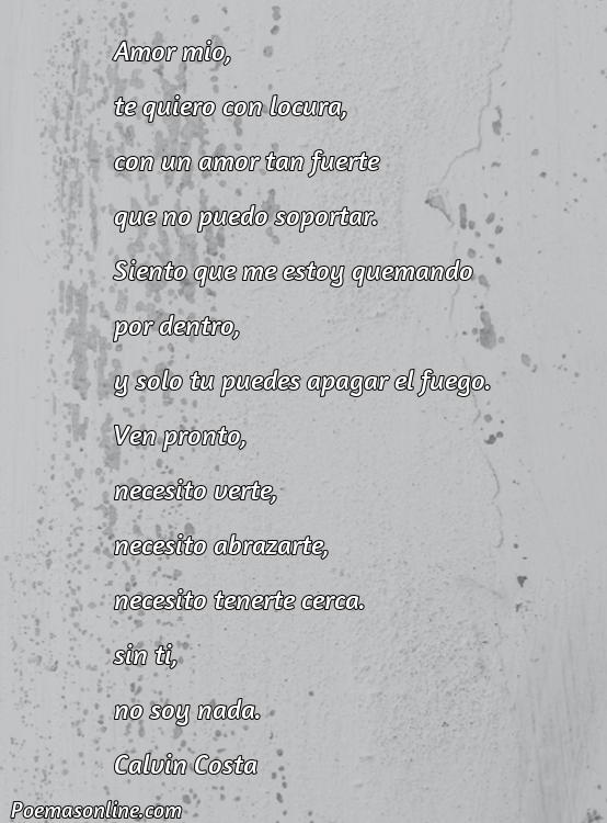Excelente Poema para Adrien, Cinco Poemas para Adrien