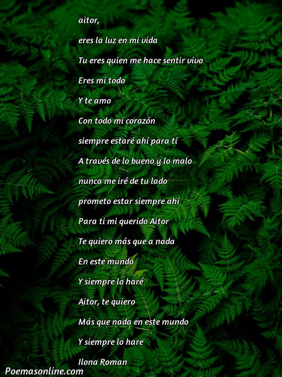 Corto Poema para Aitor, 5 Poemas para Aitor