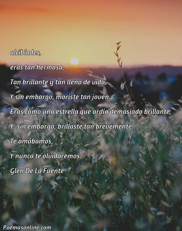 Hermoso Poema para Alcibíades, Poemas para Alcibíades