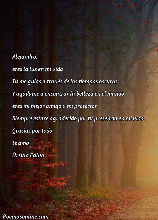 Inspirador Poema para Alejandro, 5 Poemas para Alejandro
