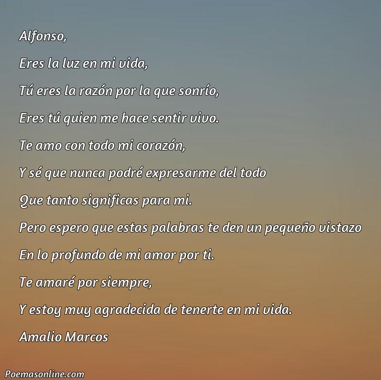 Reflexivo Poema para Alfonso, Cinco Poemas para Alfonso