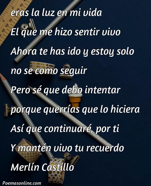 Hermoso Poema para Alguien que Murió, Cinco Poemas para Alguien que Murió