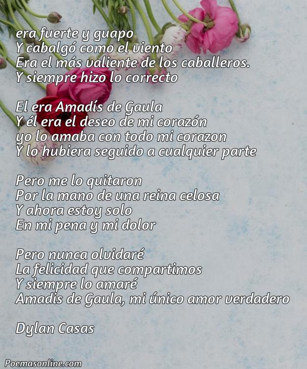Excelente Poema para Amadís, Cinco Mejores Poemas para Amadís