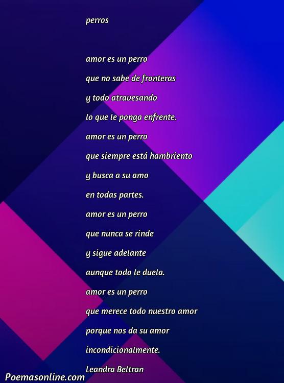 Cinco Mejores Poemas para Amores