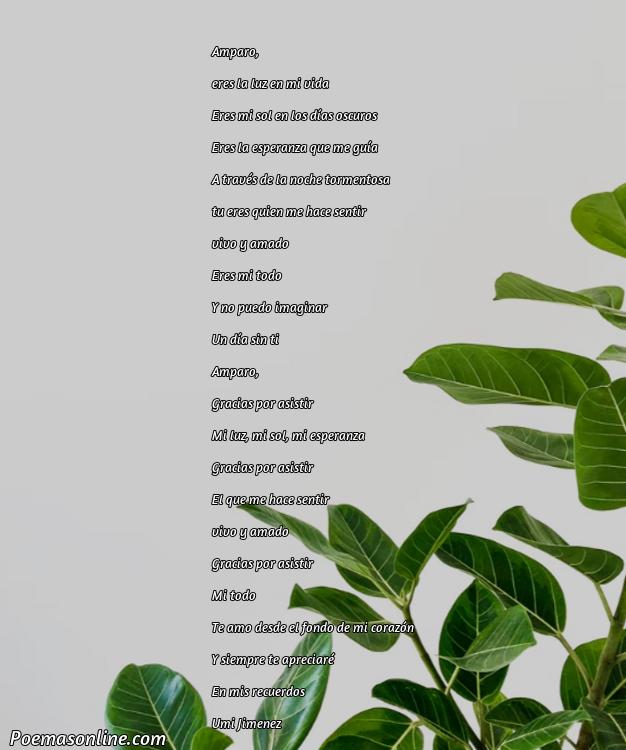 Lindo Poema para Amparo, Cinco Poemas para Amparo