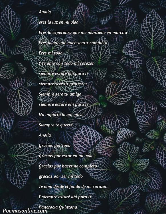 Lindo Poema para Analía, Poemas para Analía