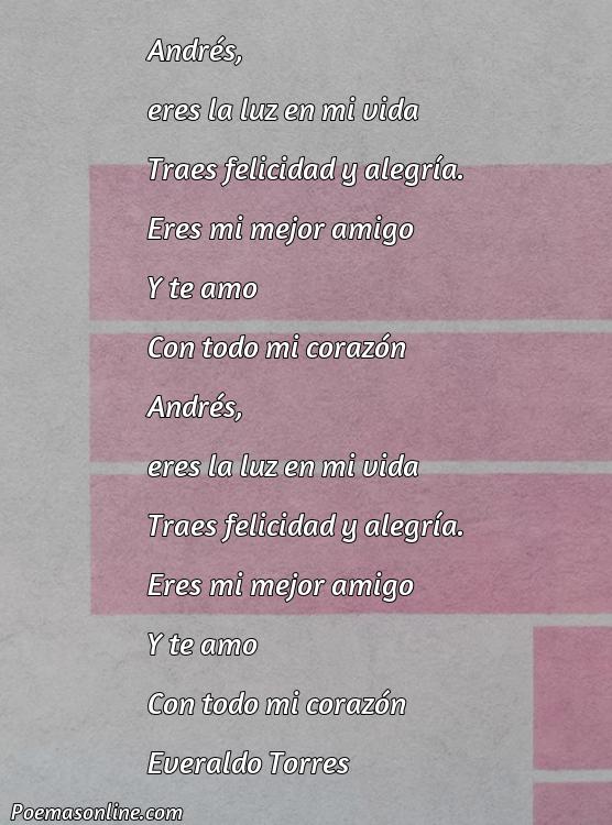 Mejor Poema para Andrés, Cinco Poemas para Andrés