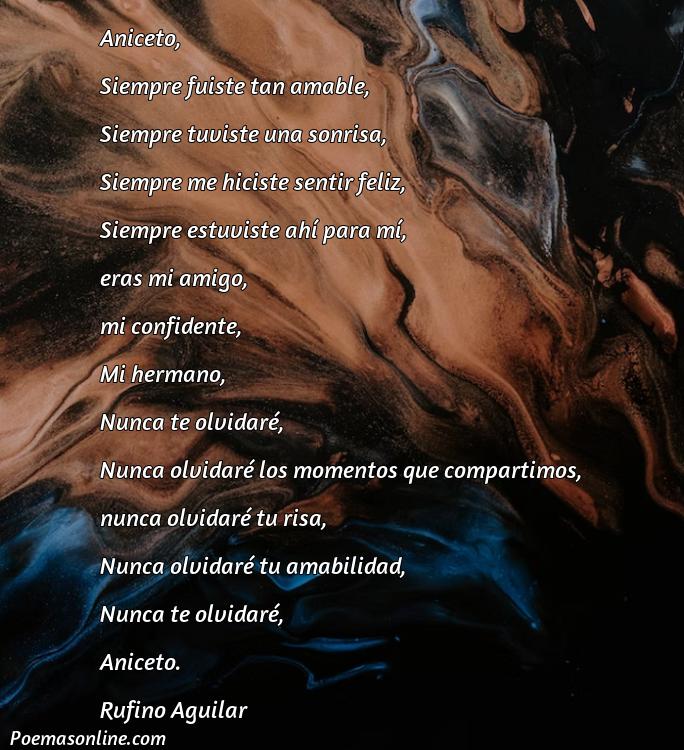 Hermoso Poema para Aniceto, 5 Mejores Poemas para Aniceto