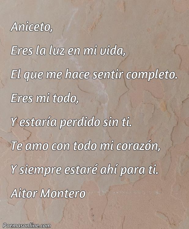 Corto Poema para Aniceto, Poemas para Aniceto