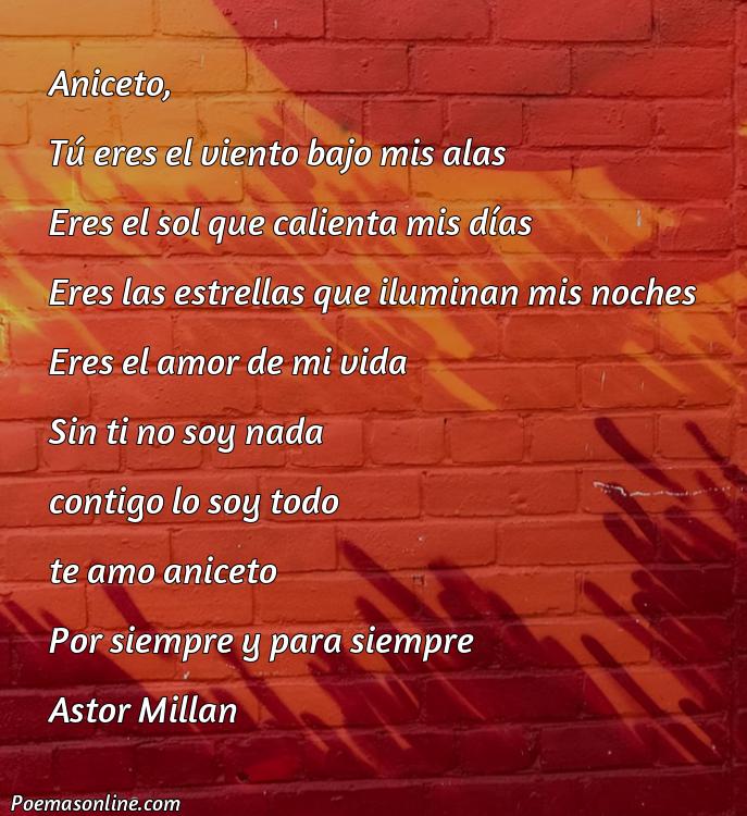 Excelente Poema para Aniceto, 5 Mejores Poemas para Aniceto