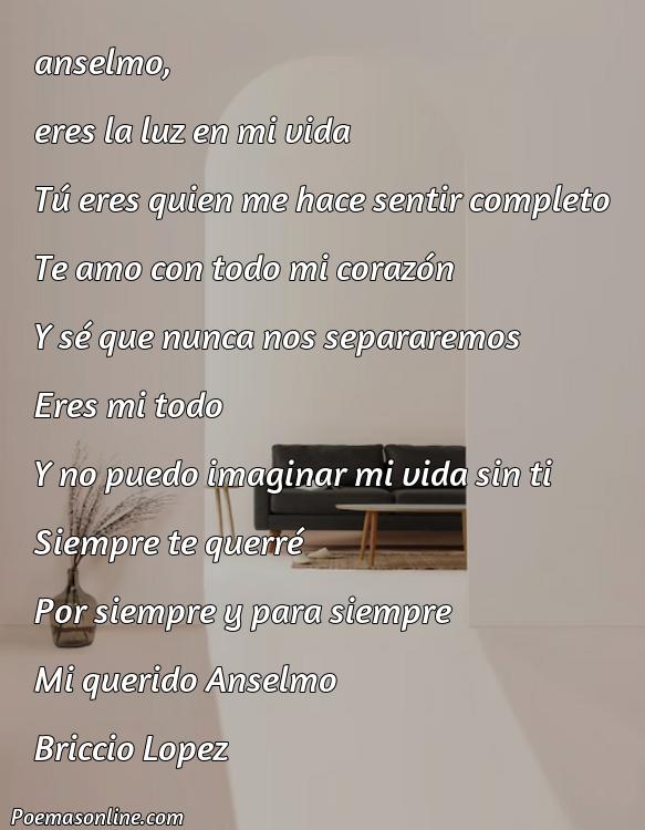 Corto Poema para Anselmo, Poemas para Anselmo