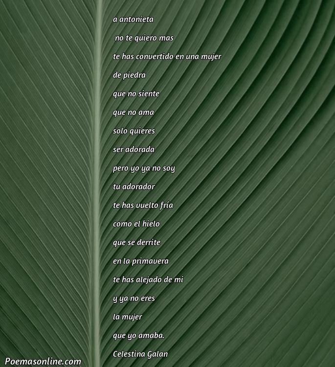 Reflexivo Poema para Antonieta, 5 Poemas para Antonieta