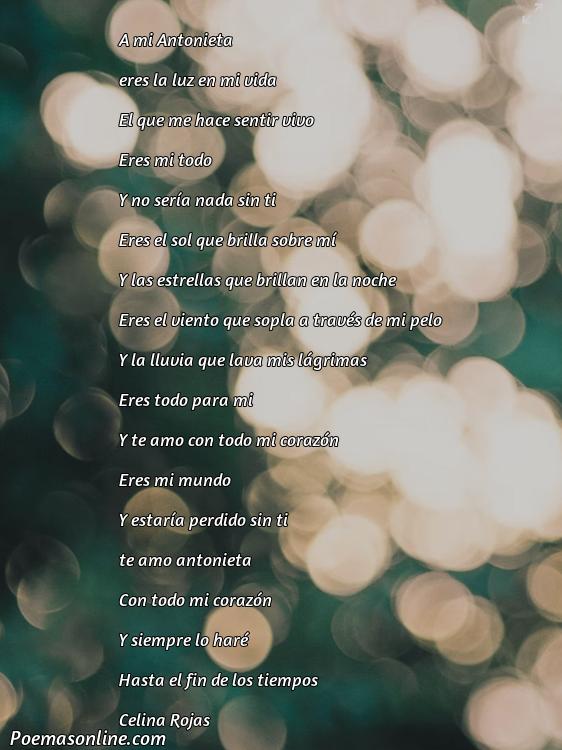 Inspirador Poema para Antonieta, Cinco Poemas para Antonieta