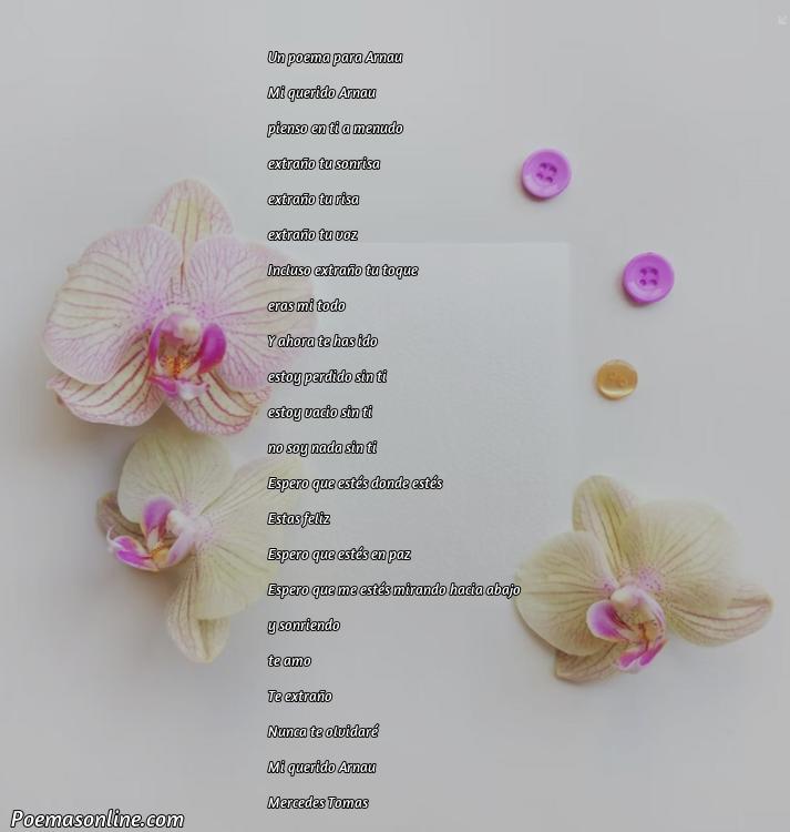 Mejor Poema para Arnau, Poemas para Arnau