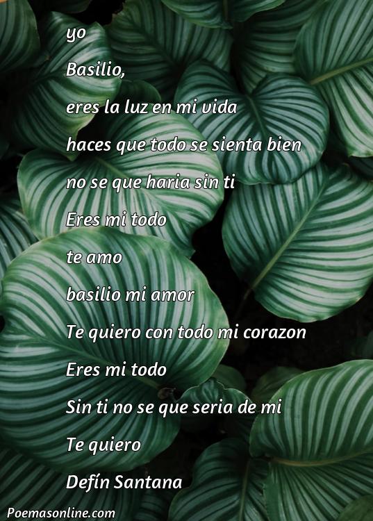 Lindo Poema para Basil, Poemas para Basil