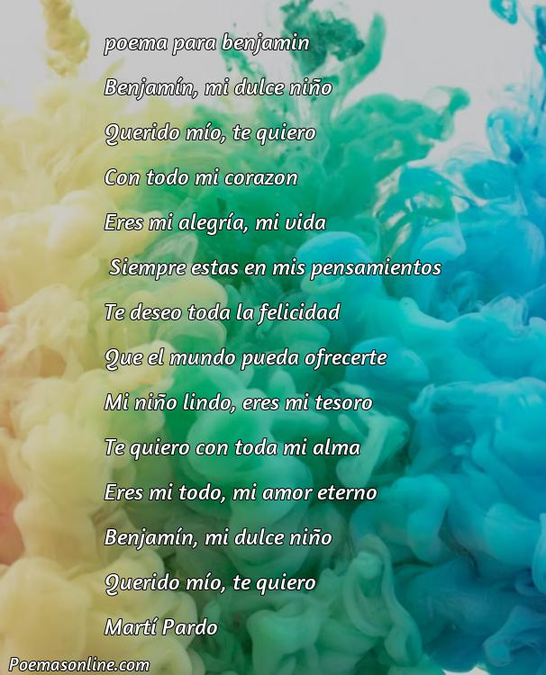 Excelente Poema para Benjamín, Poemas para Benjamín