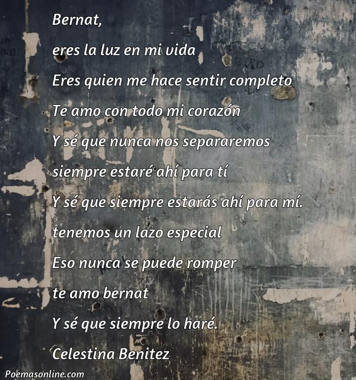 Lindo Poema para Bernat, Cinco Mejores Poemas para Bernat