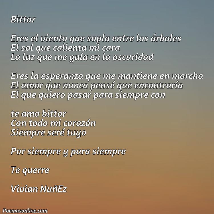 Corto Poema para Bittor, Cinco Poemas para Bittor