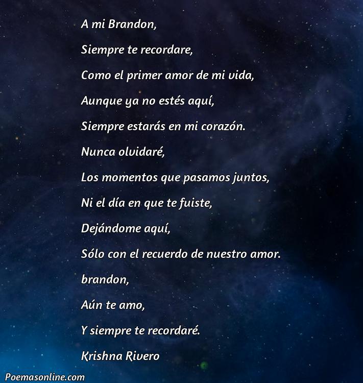 Excelente Poema para Brandon, Cinco Poemas para Brandon