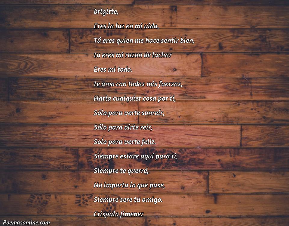 Reflexivo Poema para Brigitte, Poemas para Brigitte