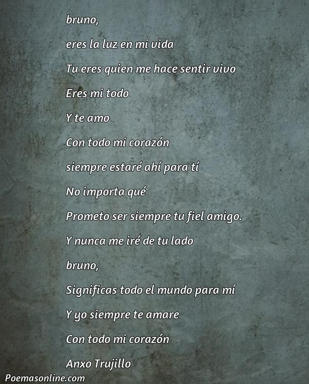 Reflexivo Poema para Bruno, Poemas para Bruno
