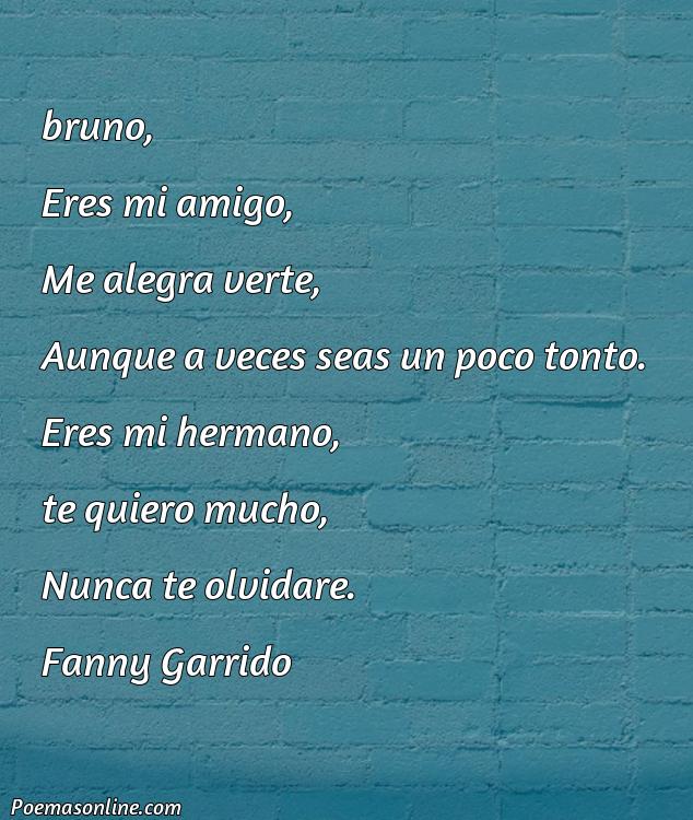 Reflexivo Poema para Bruno, Poemas para Bruno