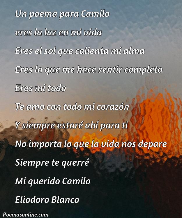 Hermoso Poema para Camilo, 5 Poemas para Camilo