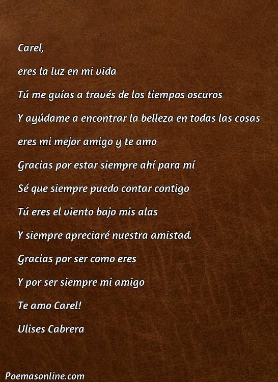Corto Poema para Carel, Cinco Poemas para Carel
