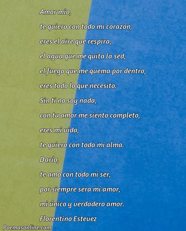 Hermoso Poema para Darío, Poemas para Darío