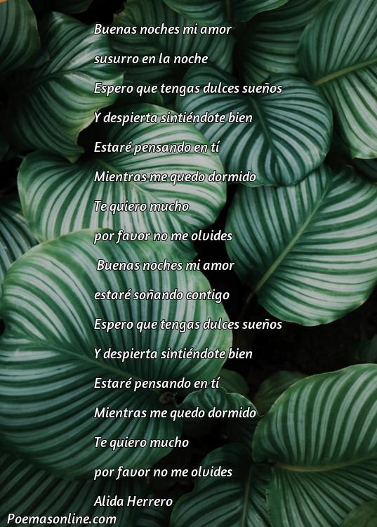 Reflexivo Poema para Darle las Buenas Noches a mi Novia, Poemas para Darle las Buenas Noches a mi Novia