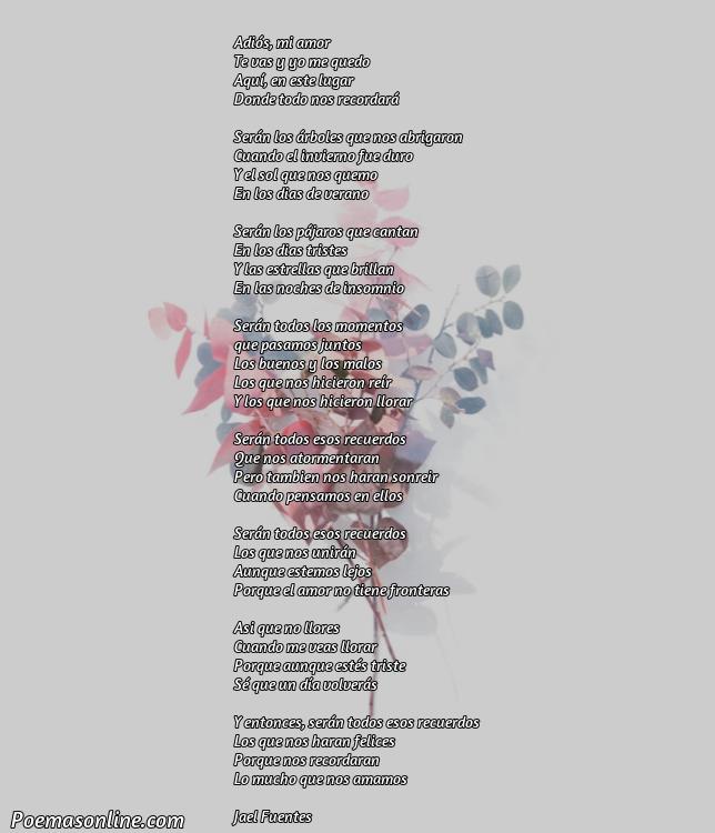 Lindo Poema para Decir Adiós a la Persona que Amas, Cinco Poemas para Decir Adiós a la Persona que Amas