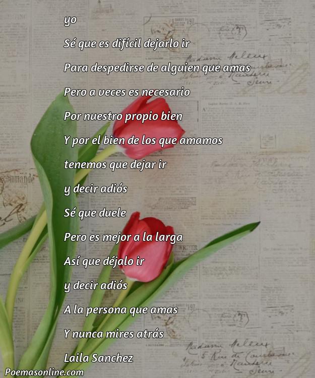Lindo Poema para Dejar Ir a un Ser Querido, Cinco Mejores Poemas para Dejar Ir a un Ser Querido