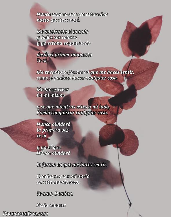 Corto Poema para Demian, Poemas para Demian