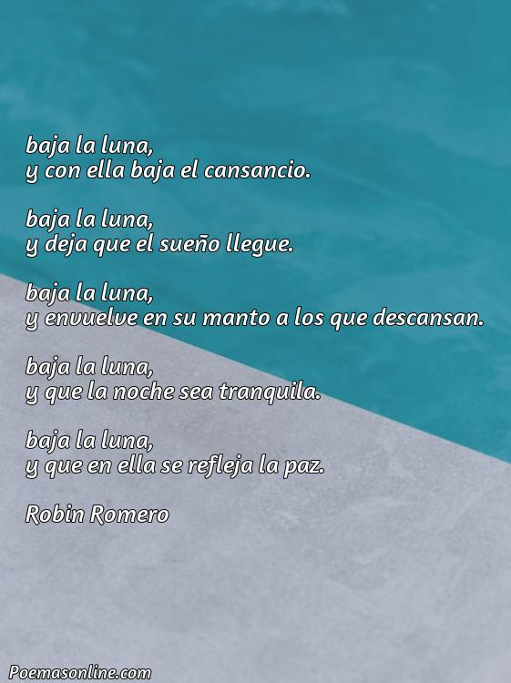 Corto Poema para Descansar, 5 Poemas para Descansar