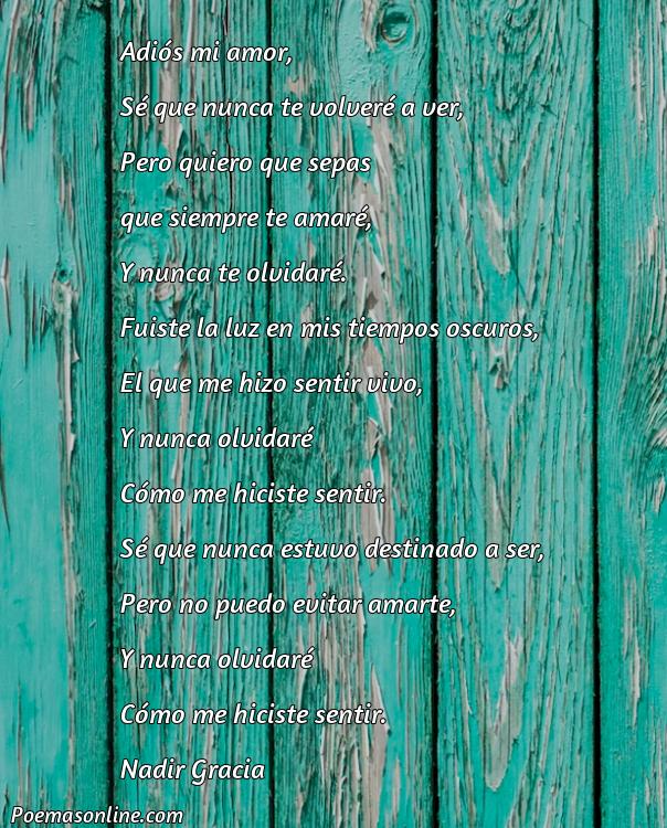Excelente Poema para Despedirse de un Amor Imposible, Cinco Mejores Poemas para Despedirse de un Amor Imposible